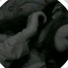 s678579