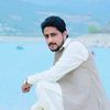hassanshafique6515