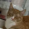 chernyxa_perexod