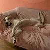 womanwithdogs
