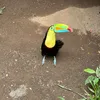 mr.traveller79
