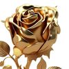 la.fleur.d.or6