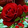 muhammad__554