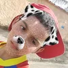 bernardo_32