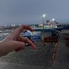 shai_erah97