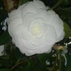 user8229308279370