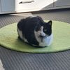 kishiepie0