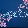 saylor7897