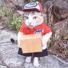 delivery_cat_03