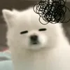 gky_bl