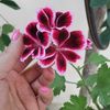 xeko_9718