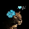 a_a_td13