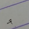 skum_skum_skum