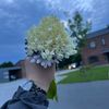 halima_isaeva_