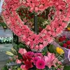 hassanyy91