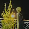laiba_liaquat6