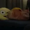 niyavie