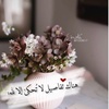 am_alremiat