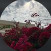 noura08030