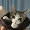 simbochkaaa