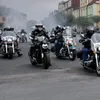 cebulka1000r