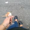 zulaiykaa