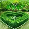 qw121212qwuser8j4s1tp8cv