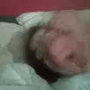 qwiuvsyy