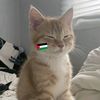 marwa_danish1