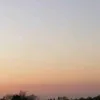 french_potato13