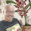 Anggrek Pakdemartin