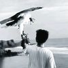 taufiqalhasan0