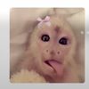 farida_479