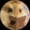 mybielen_