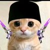 rizki.qw