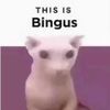 ben_savage18