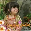 negaraziz5