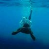 nesym_sea2