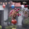 manhings_02