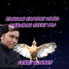 febby_bonbes
