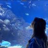 anisa__xyzz