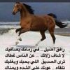 user43140832110763