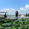 zaw.paing36848