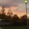 .minttullgren