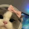 itz._.mili7