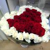kushkalieva89