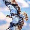 akthernawaz372