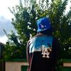 official_dimphotheboy