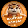 hamster.kombat260