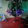 liciopereira846